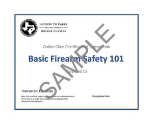 Diamond Defense Consulting LLC - Basic Firearm Safety 101 Class - Certificate of Completion